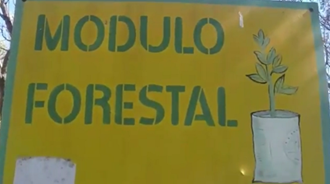 Modulo forestal